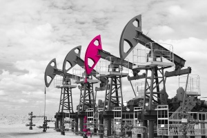 FinExpertiza провела конференцию "Налогообложение и бухгалтерский учет в нефтегазовых и горнодобывающих компаниях"