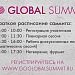 Go Global Summit 2021 уже завтра!